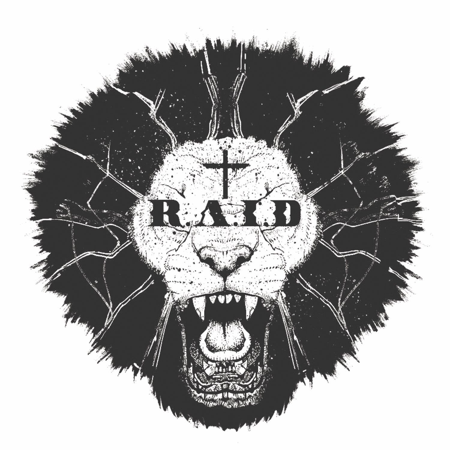 R.A.I.D